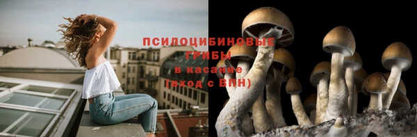 мяу мяу мука Лихославль