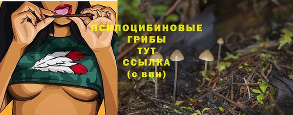 бутират Лиски